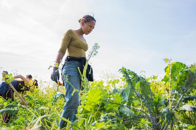 Certificat en permaculture dans les Pouilles - PDC 